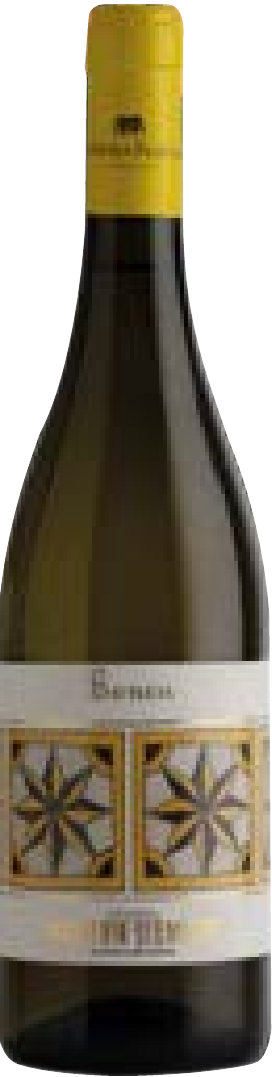 Falanghina