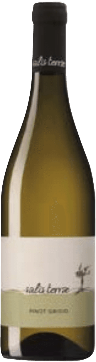 Pinot Grigio