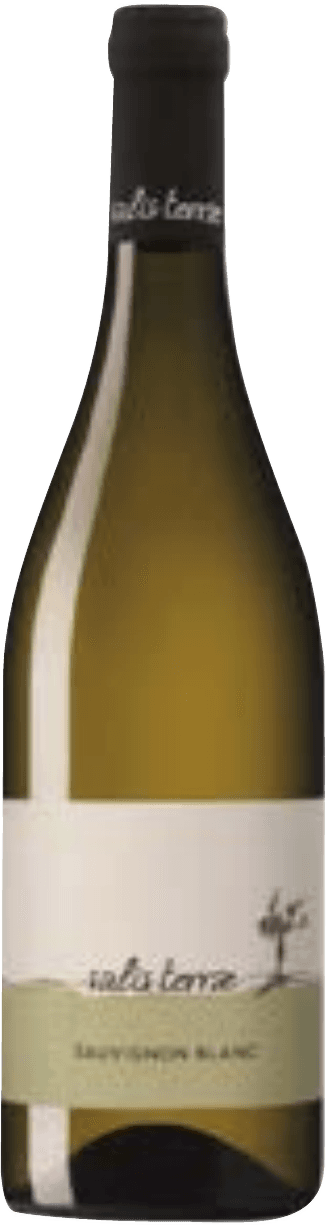 Sauvignon Blanc