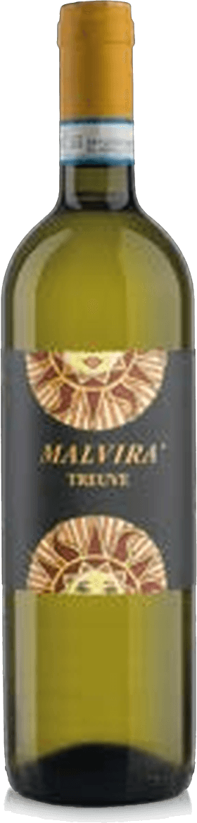 Treuve