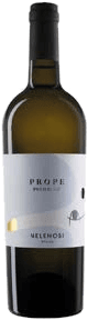 Pecorino