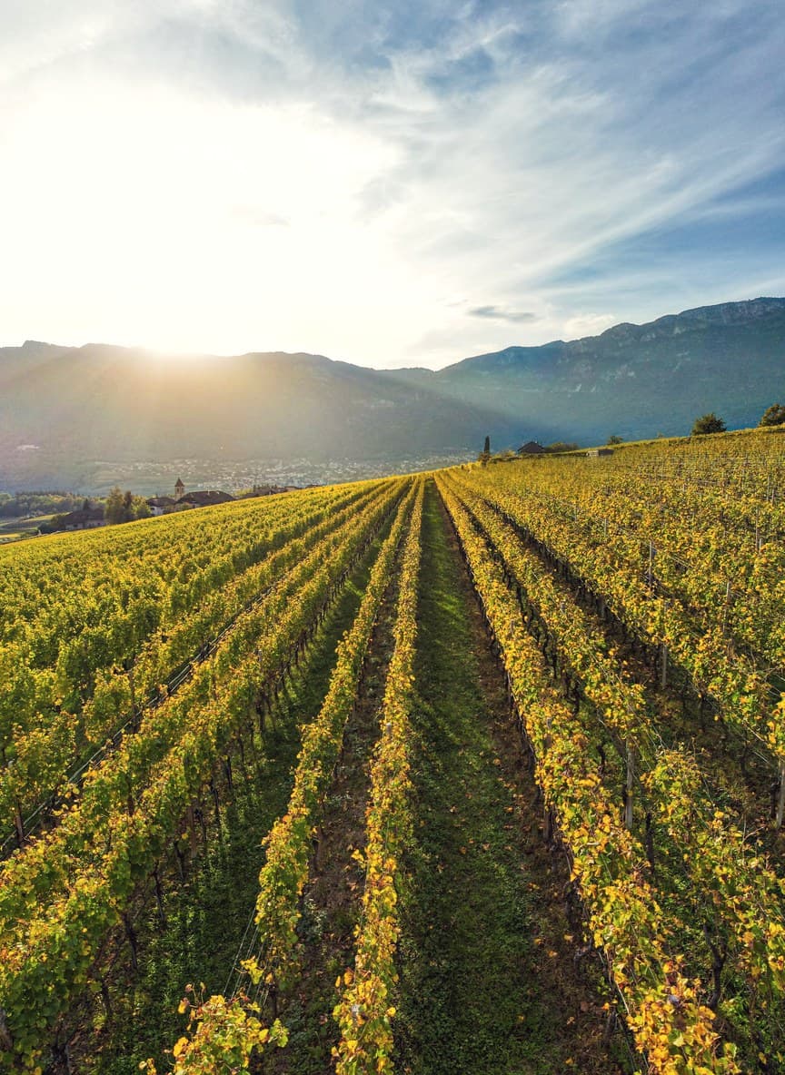 Landscape in Alto Adige, Italy